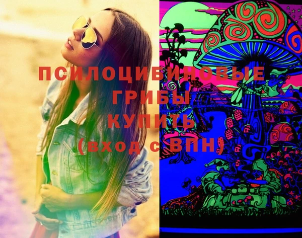 эйфоретик Кизел