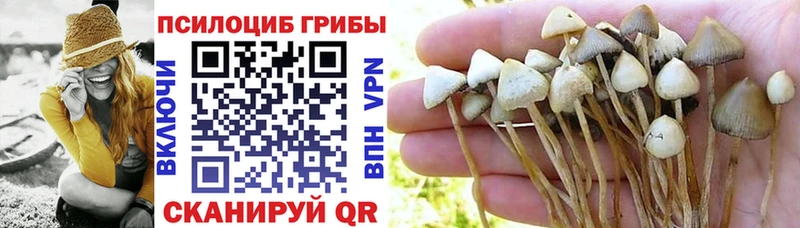 Псилоцибиновые грибы Magic Shrooms купить наркотик Мантурово